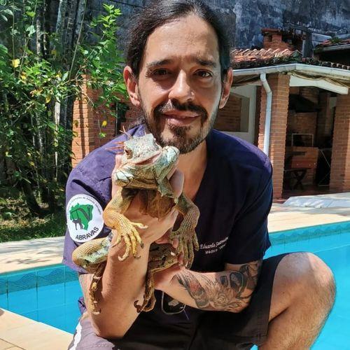 Pets não convencionais: Cannabis como alternativa no tratamento de animais além dos cachorros e dos gatos