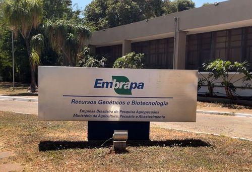 Imagem da noticia: Brasil realiza 1º mapeo nacional de investigadores e instituciones que estudian el Cannabis