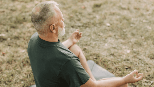 Lípido esencial puede modular la inflamación y el envejecimiento, indica nuevo estudio