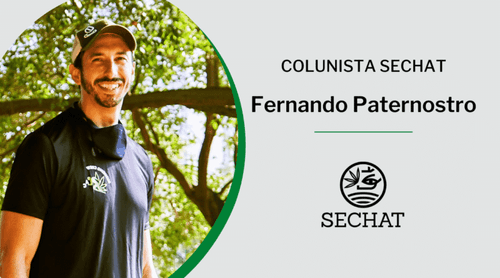 Enviesado ou equilibrado?