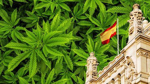 Imagem da noticia: Governo da Espanha aprova regulamentação histórica