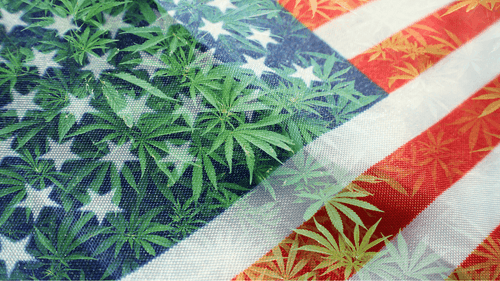 Trump nomeia Procurador-Geral com histórico pró legalização da cannabis