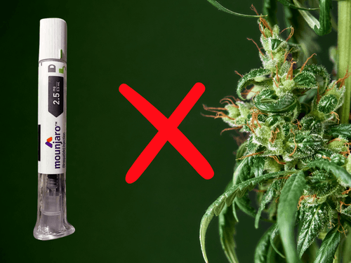 Mounjaro ou cannabis no combate à obesidade; qual a melhor opção?