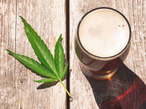 Bar de São Paulo lança quatro novas cervejas com sabor e aroma de cannabis