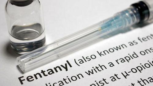 Trump sanciona lei que endurece controle sobre análogos do fentanil e facilita pesquisas com cannabis e psicodélicos