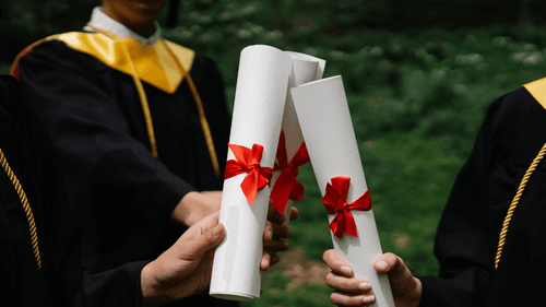Imagem da noticia: Graduated, yet unprepared: why healthcare professionals still do not learn about cannabis