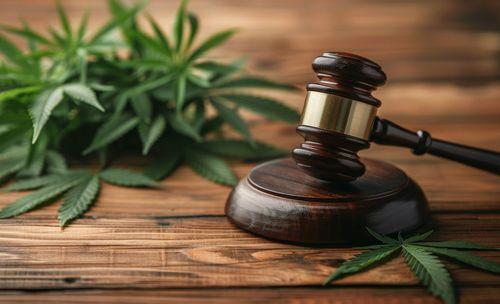 Justiça suspende distribuição de medicamentos à base de cannabis pelo SUS em cidade do Rio Grande do Sul