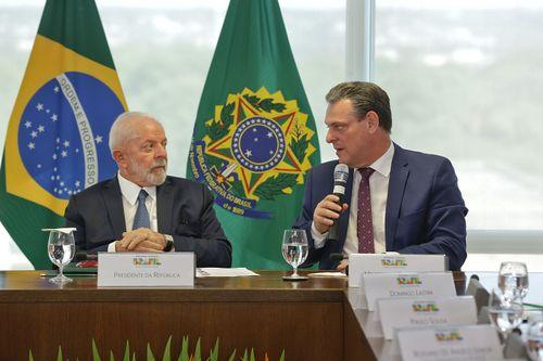 Imagem da noticia: Governo publica regras para importação de sementes de Cannabis sativa