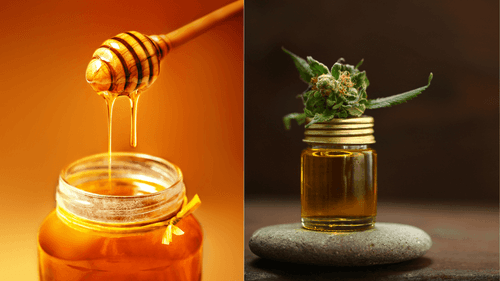 QUA - Extratos de cannabis e própolis combinados mostram potencial para tratar irritações respiratórias