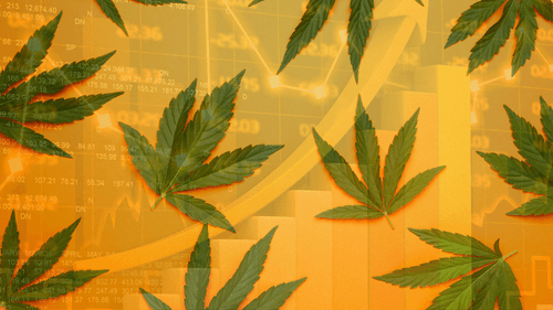 Imagem da noticia: Mercado de cannabis medicinal no Brasil tem projeção de R$ 1 Bilhão até final de 2025