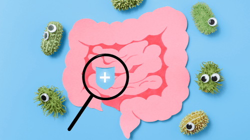 Microbiota Intestinal e Cannabis: estudo revela impacto da interação para diversas patologias e efeitos