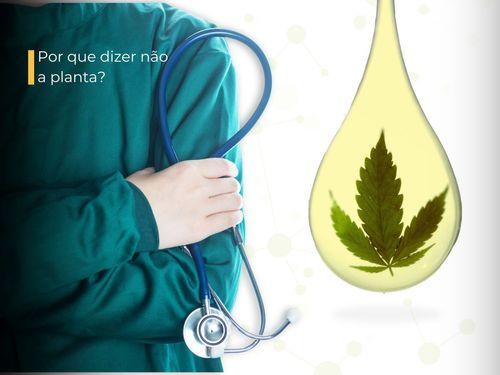O que a medicina clássica ainda desconhece sobre a cannabis? 