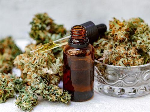 Alunos da Universidade de Montes Claros recebem orientações sobre o acesso aos produtos à base de cannabis 
