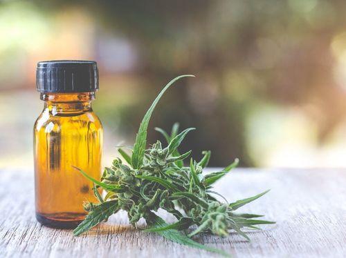 Negócios: terpenos da cannabis 