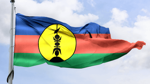 Imagem da noticia: Nueva Caledonia presenta plan para estructurar sector de cáñamo tropical hasta 2030