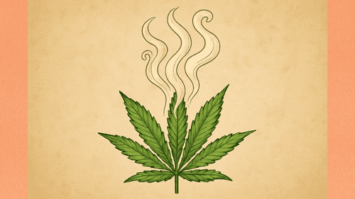 Imagem da noticia: Study Reveals Why Marijuana Strains Have Distinct Smells