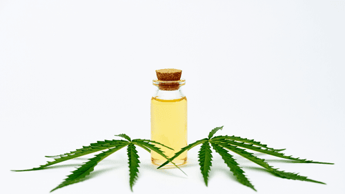 “Empieza bajo, avanza despacio”: la regla que guía el uso seguro de cannabis medicinal