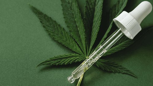 República Tcheca amplia prescrição de cannabis medicinal à doenças crônicas