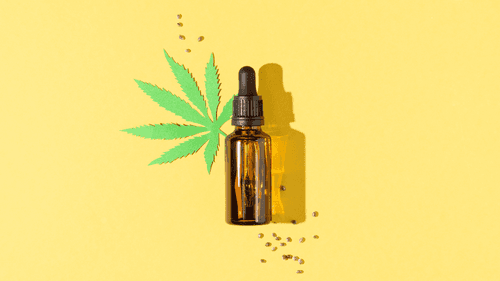 Imagem da noticia: Desvende o universo da cannabis: uma leitura informativa e inspiradora para encerrar o ano