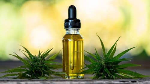 Imagem da noticia: Óleo Full Spectrum como aliado no tratamento da dor crônica