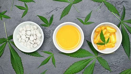 Imagem da noticia: Negócios europeus de cannabis começam com força total em 2025