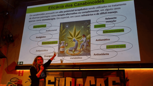 Imagem da noticia: O cuidado que virou ciência: uma mãe, sua filha e a força da cannabis no tratamento do autismo