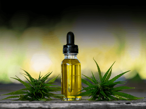 Principais Fatos de 2024: O Avanço do Uso Medicinal da Cannabis no Brasil
