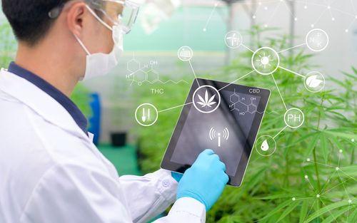 Explore a plataforma completa para o conhecimento e negócios de cannabis medicinal 