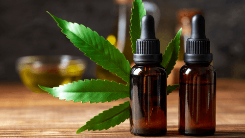 Imagem da noticia: Sistema endocanabinoide: a chave para uma medicina mais humana