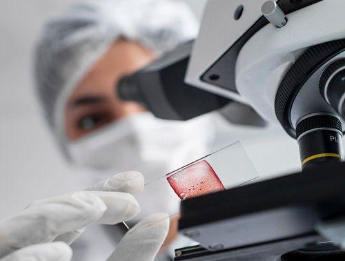 THC pode se tornar mais potente que o composto original após absorção pelo organismo