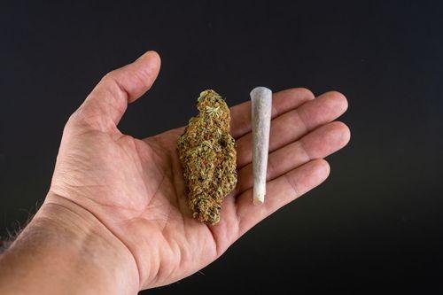 70% dos brasileiros são contra o uso pessoal de maconha