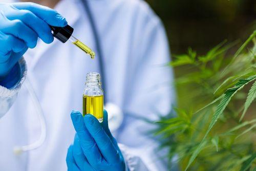 Tribunal do Lácio suspende decreto sobre CBD, alegando falta de dependência química e efeitos psicoativos 