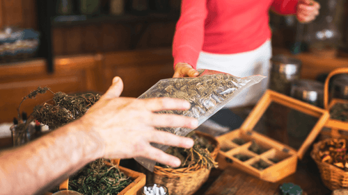 Oportunidades e desafios do mercado de cannabis em 2025