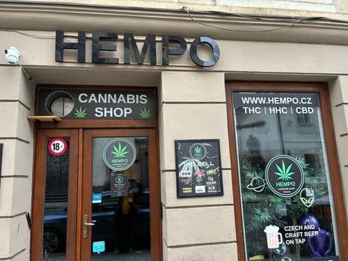 Entre farmácias, clubes e zonas cinzentas: o que a Europa revela sobre a cannabis a partir do olhar de uma pesquisadora brasileira