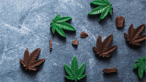 Crescimento do mercado de infusão de cannabis tem "sabor" de chocolate na América do Norte