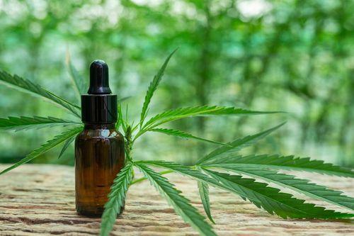 Cannabis auxilia paciente com depressão profunda 