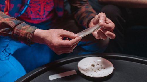 SEX 14H - Estudo japonês contesta teoria da “cannabis como droga de entrada”