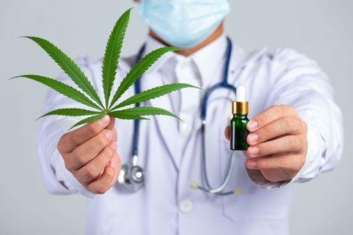 Estudo avalia Implementação de um projeto modelo de distribuição de cannabis em farmácias alemãs 