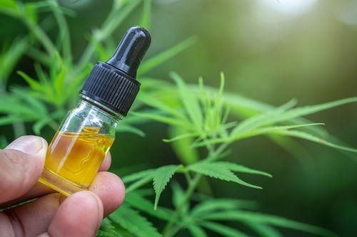 Como armazenar corretamente o óleo medicinal de cannabis?