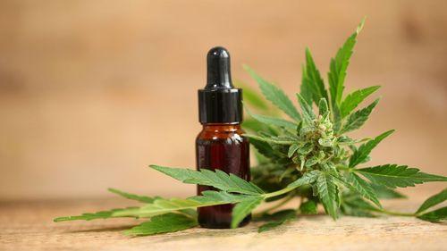 Imagem da noticia: Anvisa aprova novo produto farmacêutico à base de cannabis no Brasil