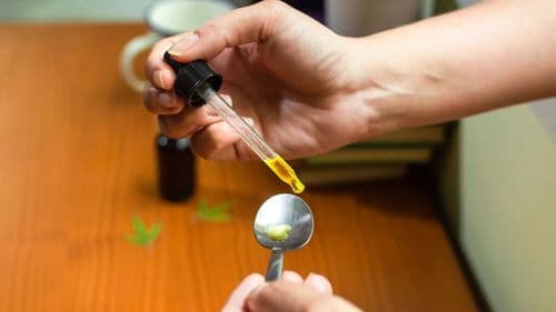 Imagem da noticia: SINSSP-BR integra tratamento com cannabis medicinal para servidores
