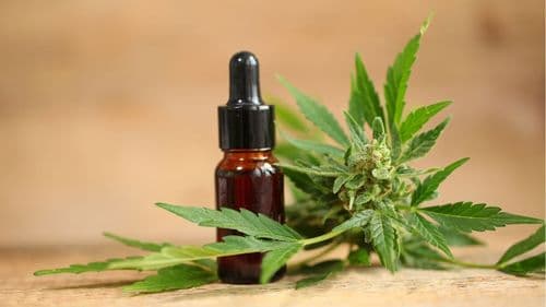 Justiça do Rio Grande do Sul determina fornecimento de canabidiol a criança com epilepsia