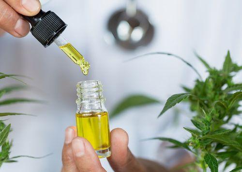 Campo Grande se prepara para implementar Lei de acesso aos medicamentos de cannabis