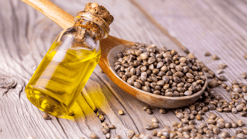 Mercado global de cânhamo industrial deve atingir US$ 30,24 bilhões até 2029, impulsionado por IA e sustentabilidade