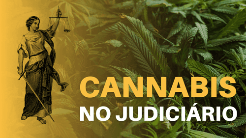 <strong>Brasil tem mais de 2,7 mil processos judiciais em tramitação para cultivo de cannabis</strong>