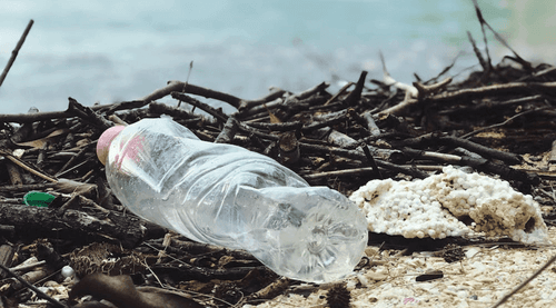 <strong>Ecologia: ONU propõe medidas para reduzir a poluição plástica em 80% até 2040</strong>