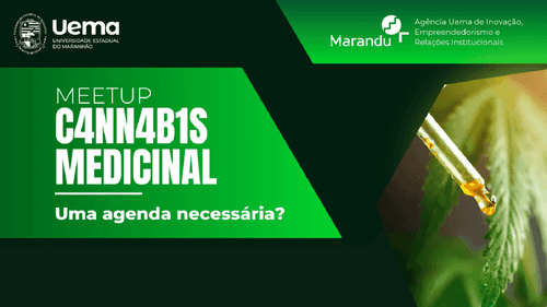 <strong>UEMA realiza evento sobre cannabis medicinal </strong>