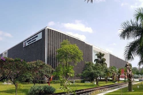 <strong>Deputado de SP assume Frente Parlamentar da Cannabis Medicinal e do Cânhamo Industrial</strong>