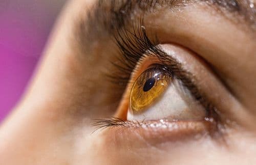 <strong>Paciente encontra melhora de daltonismo no tratamento com cogumelos</strong>