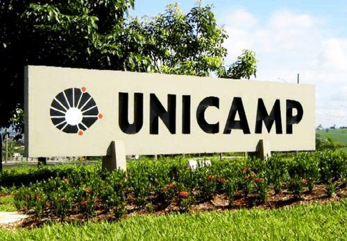 Unicamp estabelece padrão de qualidade para óleos de cannabis domésticos